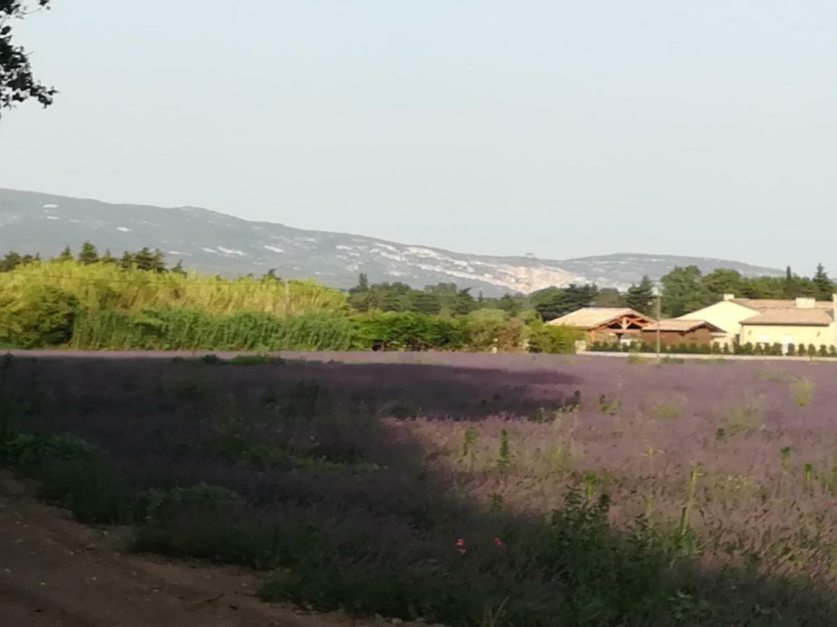 Bed and Breakfast Au Pays Du Ventoux Le Thor Zewnętrze zdjęcie